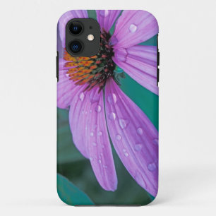 Purple Cone flower with water drops iPhone 11 Case