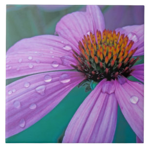 Purple Cone flower with water drops Ceramic Tile