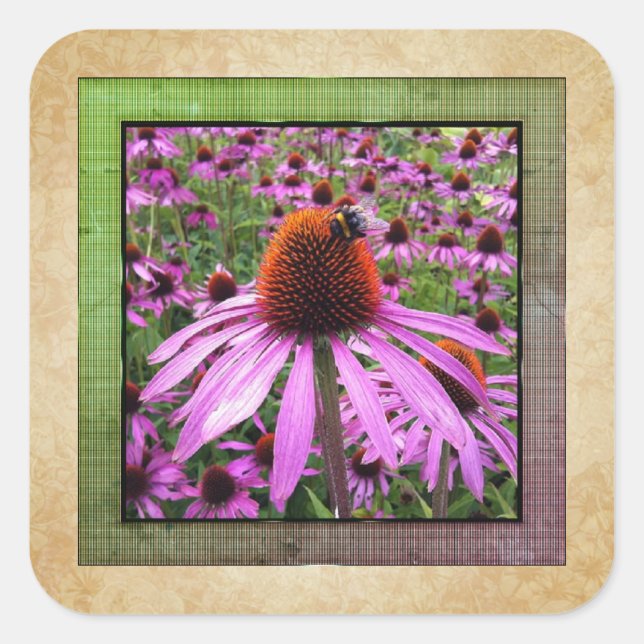Purple Coneflower Echinacea Wildflower Sticker (Front)