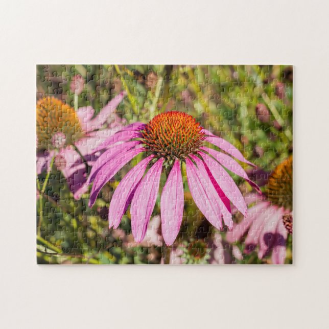 Purple Coneflower Jigsaw Puzzle  (Horizontal)