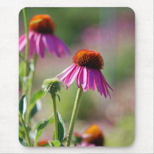 Purple Coneflower Mouse Pad
