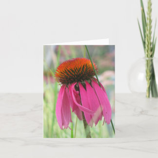 Purple Coneflower Note Card
