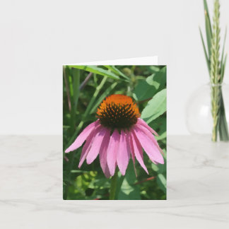 Purple Coneflower Note Card