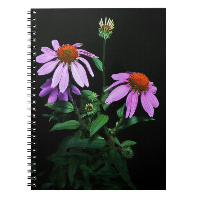 Purple Coneflower Notebook (Front)