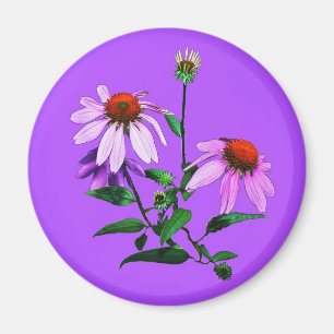 Purple Coneflower On purple Magnet
