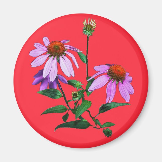 Purple Coneflower On Red Magnet (Front)