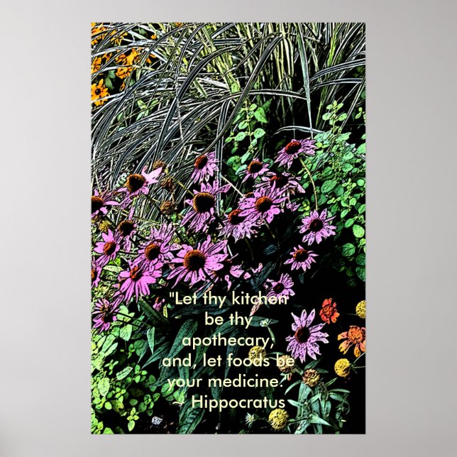Purple Coneflower Posters (Front)