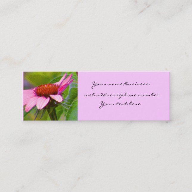 Purple Coneflower Profile Cards (Front)