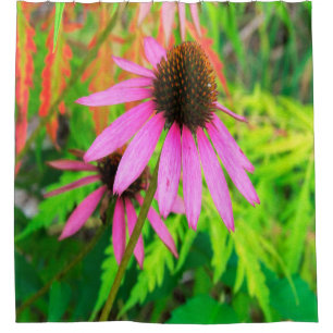 Purple Coneflower with Stunning Green Foliage Shower Curtain