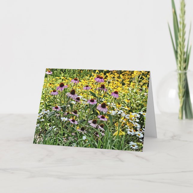 Purple Coneflowers and Daisies Art Card (Front)