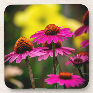 Purple Conflower Coaster