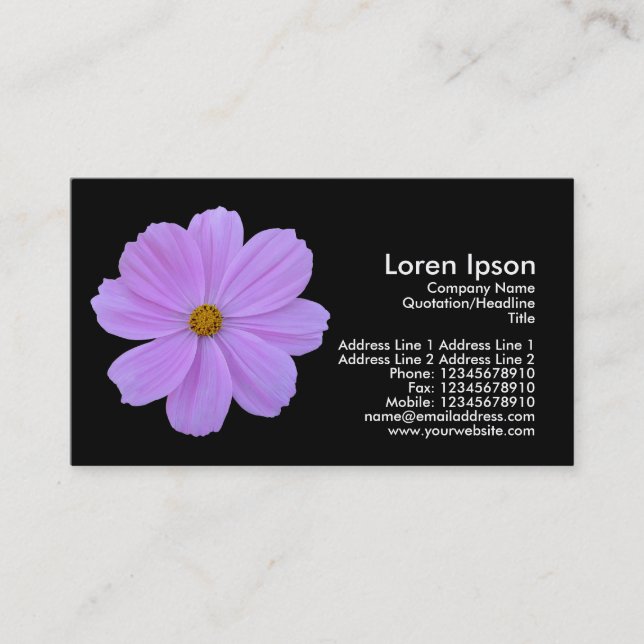 Purple Cosmos - Black Business Card (Front)