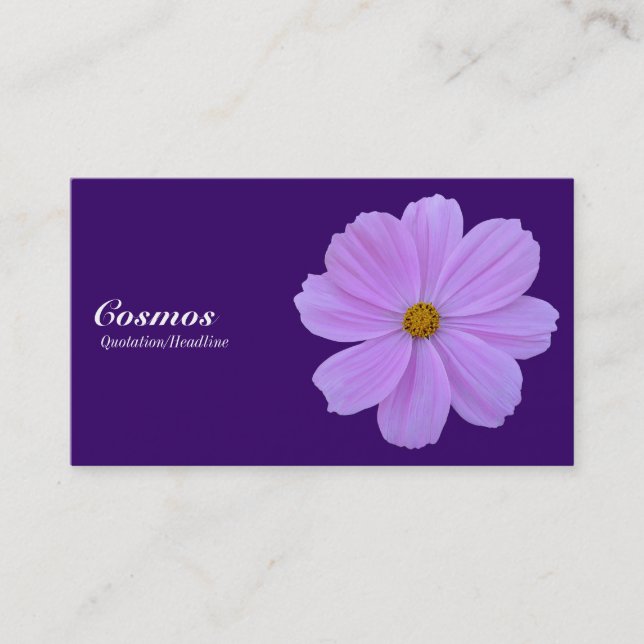 Purple Cosmos - Deep Purple 330066 Business Card (Front)