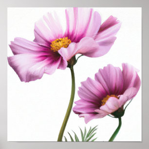 Purple Cosmos Flower Art Print Poster