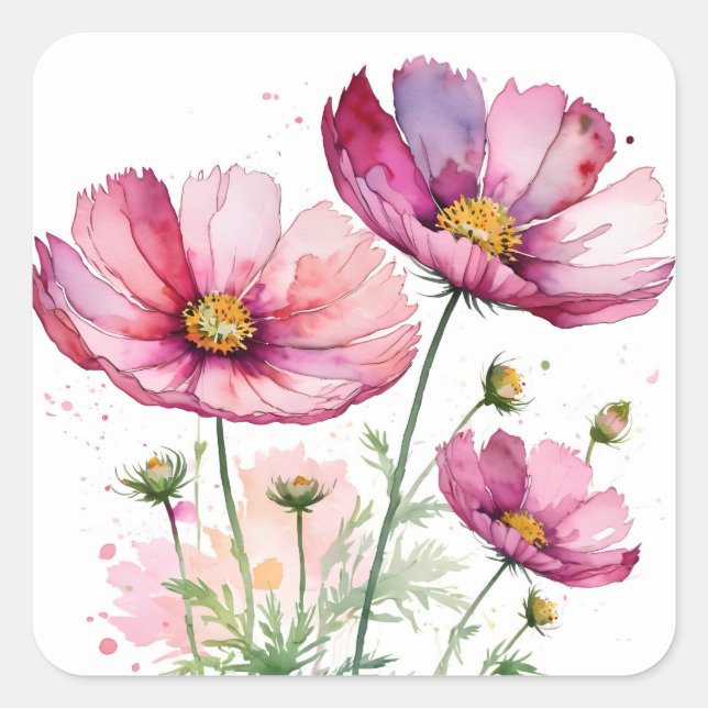Purple cosmos flowers square sticker (Front)