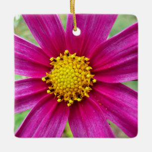 Purple Cosmos Wildflower Ceramic Ornament