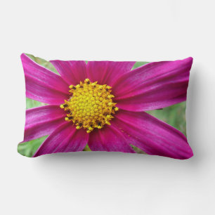 Purple Cosmos Wildflower Lumbar Cushion