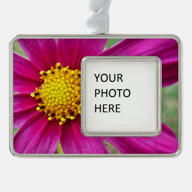 Purple Cosmos Wildflower Silver Plated Framed Ornament (Front)