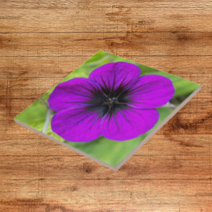 Purple Cranesbill Geranium Floral Ceramic Tile