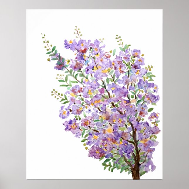 purple crape myrtle watercolor flowers poster (Front)