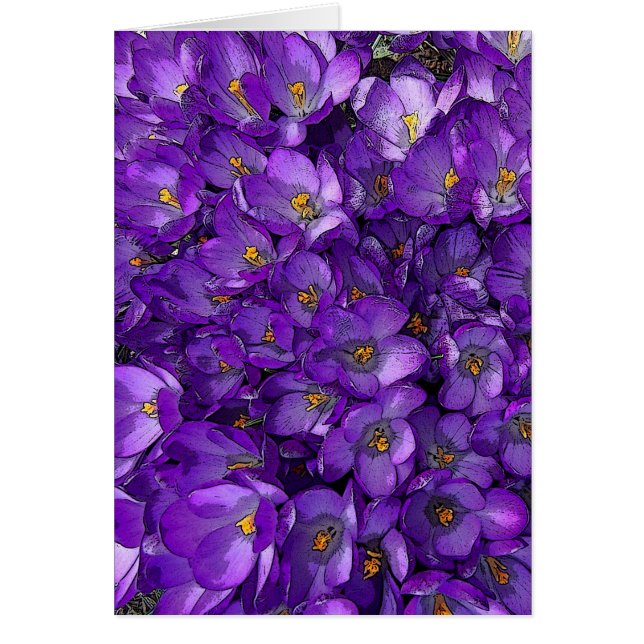 Purple Crocus (Front)