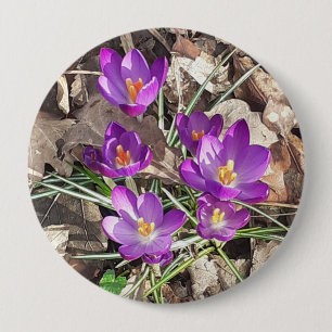 Purple Crocus 10 Cm Round Badge