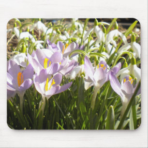 Purple Crocus and Snowdrops Mousepad