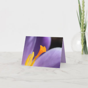 Purple Crocus Flower Saffron Stigma Thank you Card