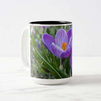 Purple Crocus Flower Two-Tone Coffee Mug