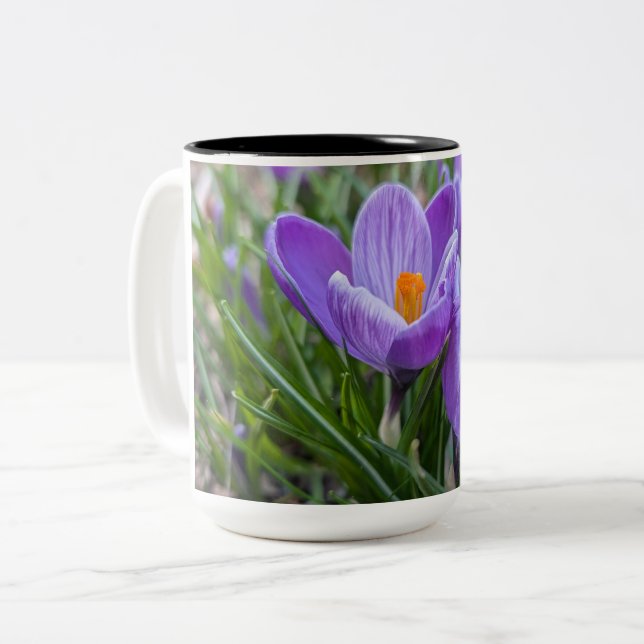 Purple Crocus Flower Two-Tone Coffee Mug (Front Left)