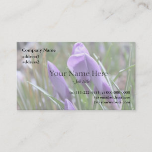 purple crocus flowers,番红花 business card
