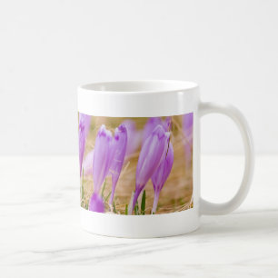 Purple Crocus Flowers in Grass Coffee Mug