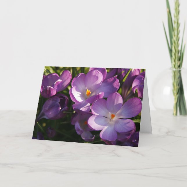 Purple Crocus Greeting Card (Front)