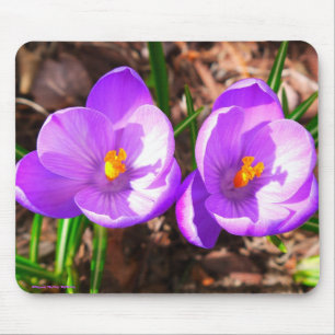 Purple Crocus Mousepad