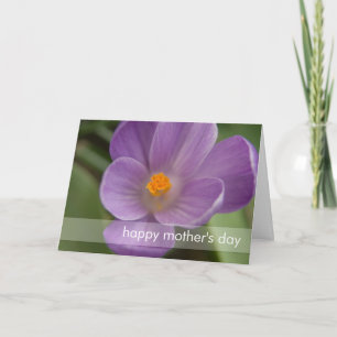Purple Crocus PICT5930 Card