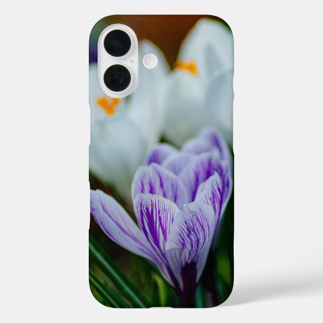 Purple Crocus Spring Flowers iPhone 16 Case (Back)