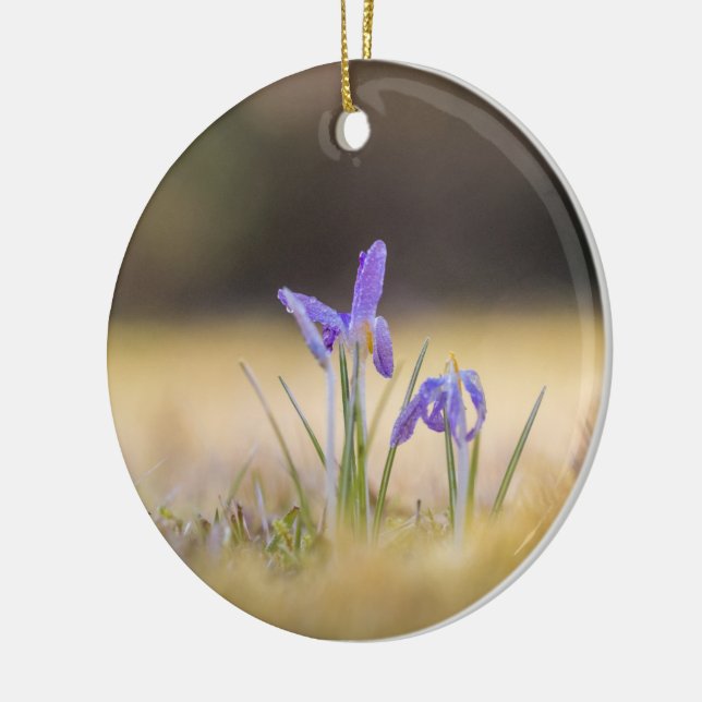 Purple Crocuses Ceramic Ornament (Left)
