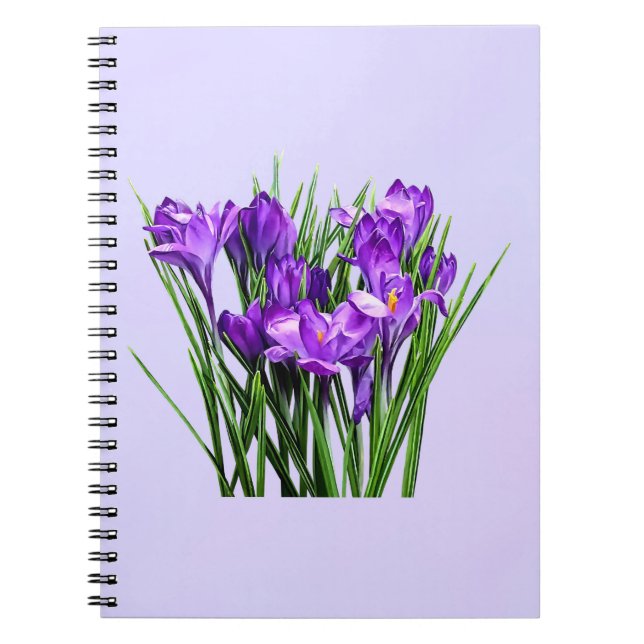 Purple Crocuses Notebook (Front)