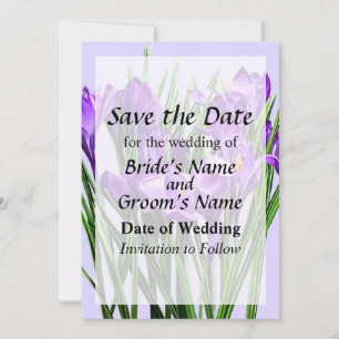 Purple Crocuses Save the Date