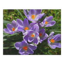 Purple Crocuses Spring Faux Wrapped Canvas Small