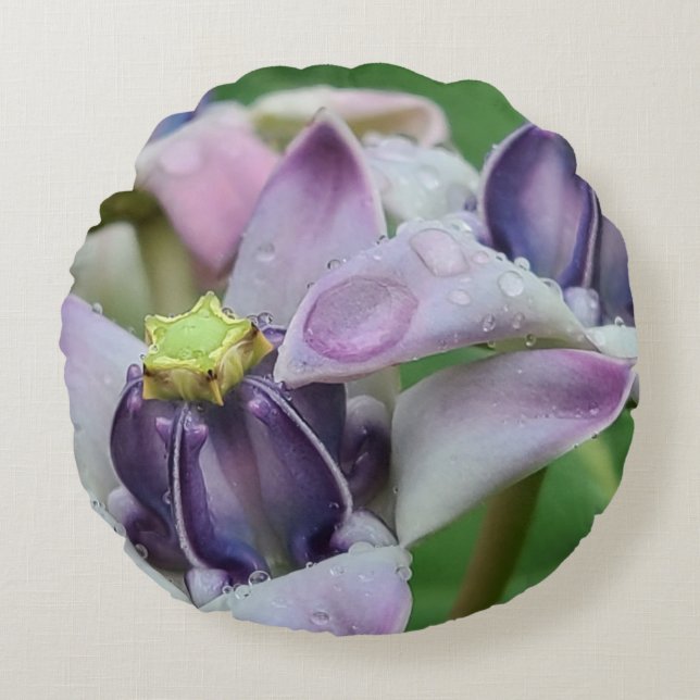 Purple Crown Flower Pillow (Front)