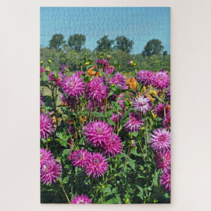 Purple dahlia garden jigsaw puzzle