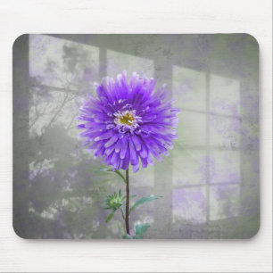 Purple Dahlia In Window Shadow Mouse Pad