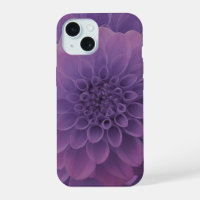 Purple Dahlia