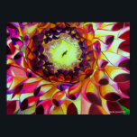 Purple Dahlia original pop art flower painting Poster<br><div class="desc">with original,  unique art design from watercolour floral painting of close up,  macro dahlia flower in exquisite almost 3D detail. This design is brightly colored with purple,  hot pink and yellow shades for lovers of botanical art or for lovers of bright,  intense colors.</div>