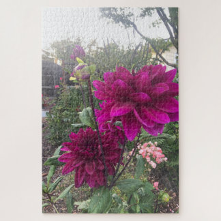 Purple Dahlia, San Mateo Jigsaw Puzzle