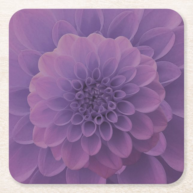 Purple Dahlia Square Paper Coaster (Front)
