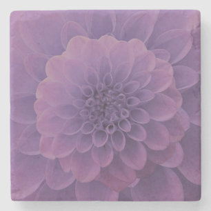 Purple Dahlia Stone Coaster