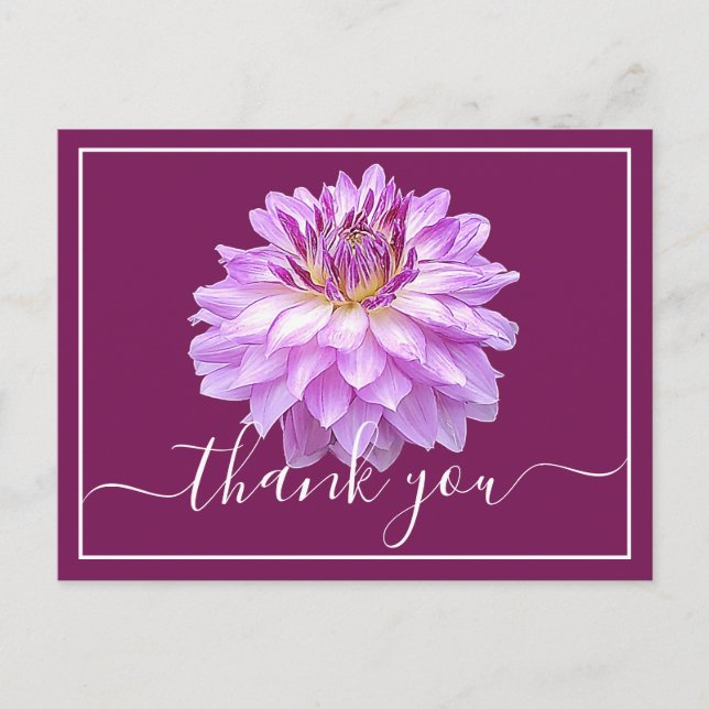 Purple Dahlia & Wine Coloured Background Thank You Postcard (Front)