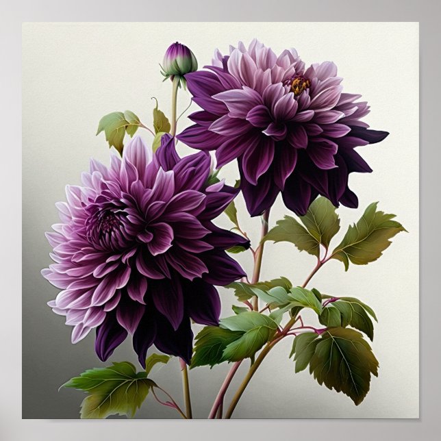 Purple Dahlias Flower Art Print Poster (Front)